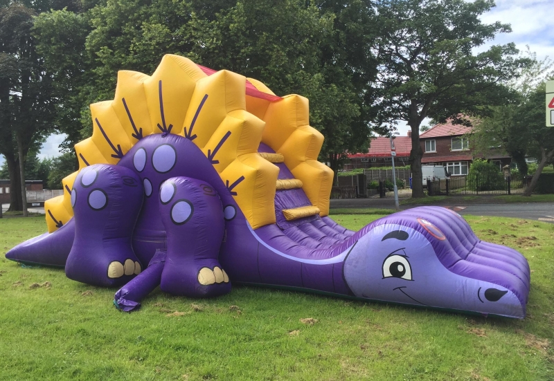 Dinosaur Assault Course And Slide